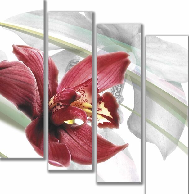 Модульная картина на холсте Орхидея